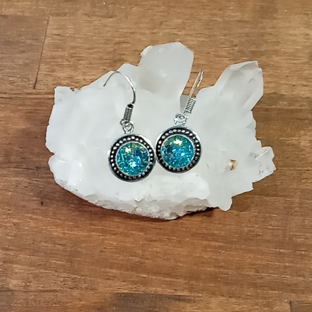 Rainbow Fish Titanium Earrings
